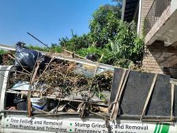 Best Shed Removal  in Globe, AZ