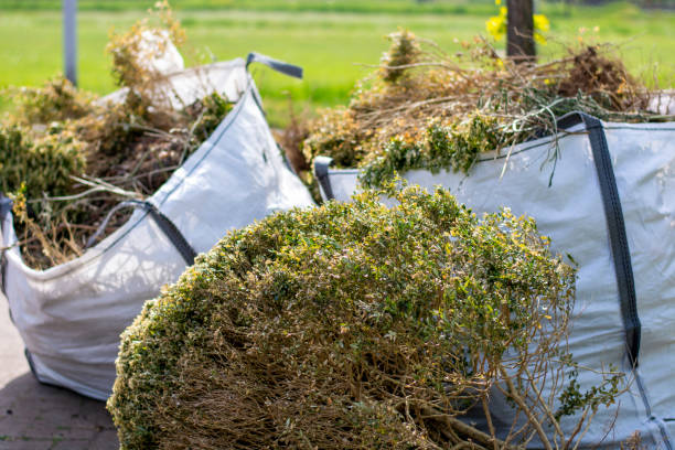  Globe, AZ Junk Removal Services Pros